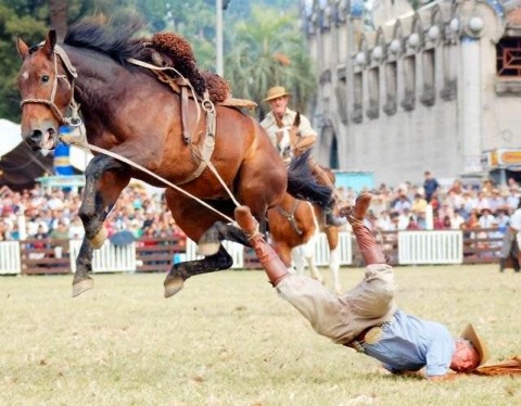 rodeo-horse-drags-cowboy.jpg
